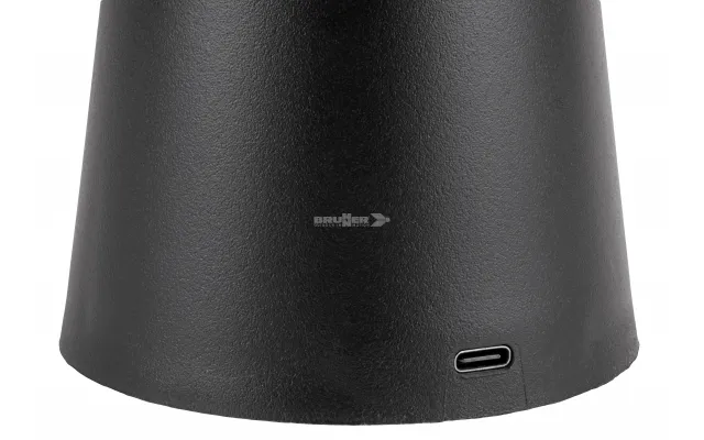 paladino (2).webp
