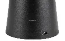 paladino (2).webp