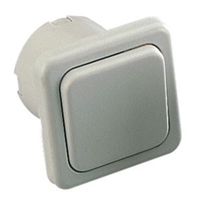 Interruptor con Marco Gris Claro