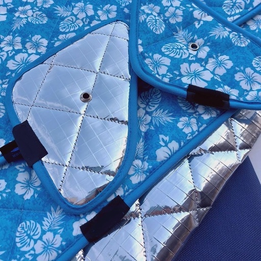 [2051226] Termicos 9C Cabina Ducato 244 Hawaianos